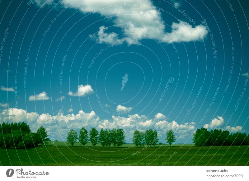 horizontal02 Tree Clouds Green Meadow Mecklenburg-Western Pomerania heaven Earth Blue Landscape