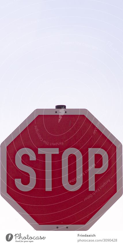 STOP Vacation & Travel Tourism Trip City trip Sign Signs and labeling Signage Warning sign Road sign Driving To hold on Looking Stand Wait Sharp-edged Above
