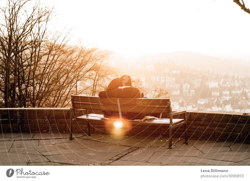 Couple at sunset in Stuttgart Sunset evening hour Evening Light evening light golden hour couple people Bench lens flare outlook Autumn Spring Love Sit