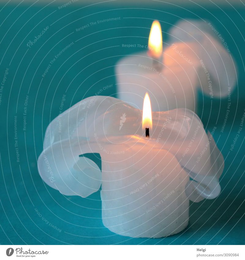 two white burning candles with bizarre wax formations stand on a turquoise background Feasts & Celebrations Christmas & Advent shoulder stand Sign Illuminate