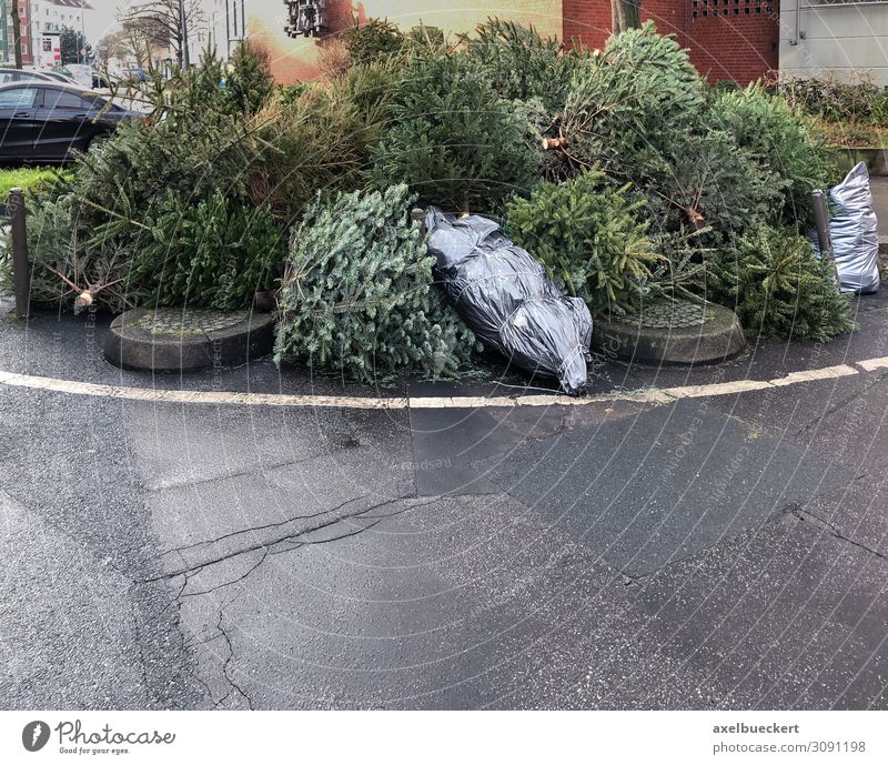 thrown away fir trees at the roadside Lifestyle Winter Christmas & Advent New Year's Eve Tree Town Street Authentic Germany Recycling January Christmas tree