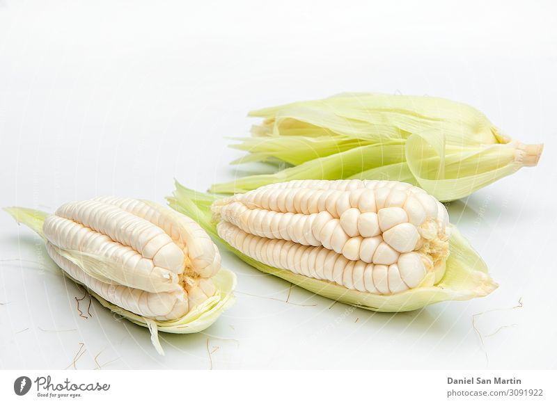 choclo, giant white corn. On a white background Vegetable Nutrition Diet Life Leaf Fresh Yellow Gold Green White food Ingredients Maize whole grain healthy