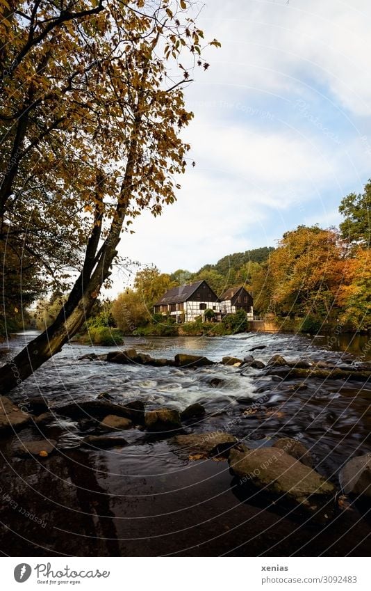 In the Bergisches Land, NRW: Wipperkotten in autumn rocker cottages House (Residential Structure) Machinery Nature Landscape Autumn Tree River Wupper Solingen