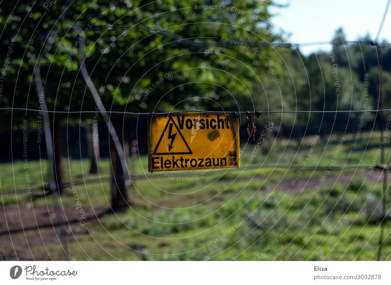 Caution electric fence Sign Characters Signage Warning sign Threat Safety Yellow Electricity Electrified fence Game park Wild animal Nature Tree Fence Dangerous