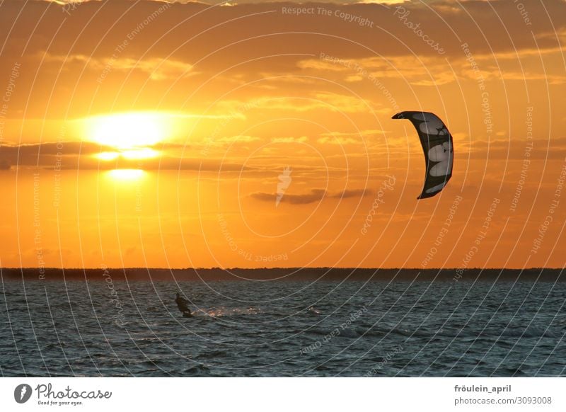 Solar energy Joy Freedom Summer Summer vacation Ocean Waves Sports Kiting Kiter Surfing 1 Human being Sunrise Sunset Sunlight Beautiful weather Coast Movement