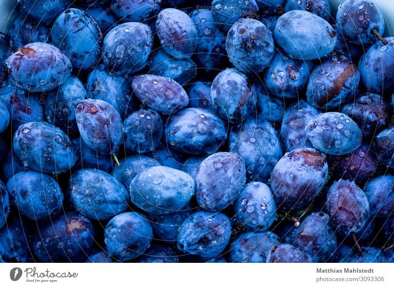 Damask plums Fruit Plum Lie Fresh Healthy Delicious Natural Sour Sweet Blue Nature Colour photo Subdued colour Exterior shot Detail Deserted Copy Space left