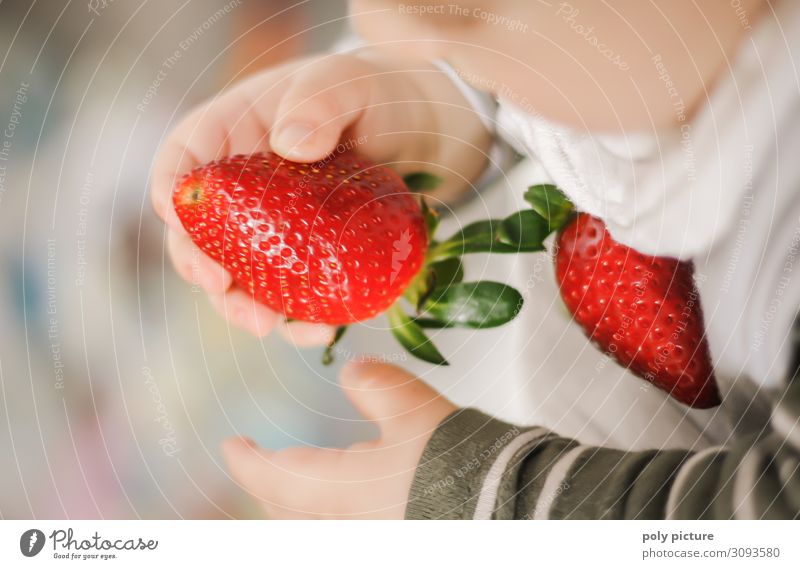 Baby hands holding strawberry Shallow depth of field Blur Light Copy Space bottom Copy Space top Interior shot Multicoloured Colour photo Spring Climate change