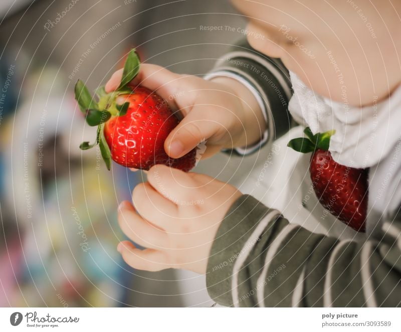 Baby holding red strawberry up in his hand Lifestyle Leisure and hobbies Vacation & Travel Summer Child Family & Relations Infancy Hand Fingers 0 - 12 months