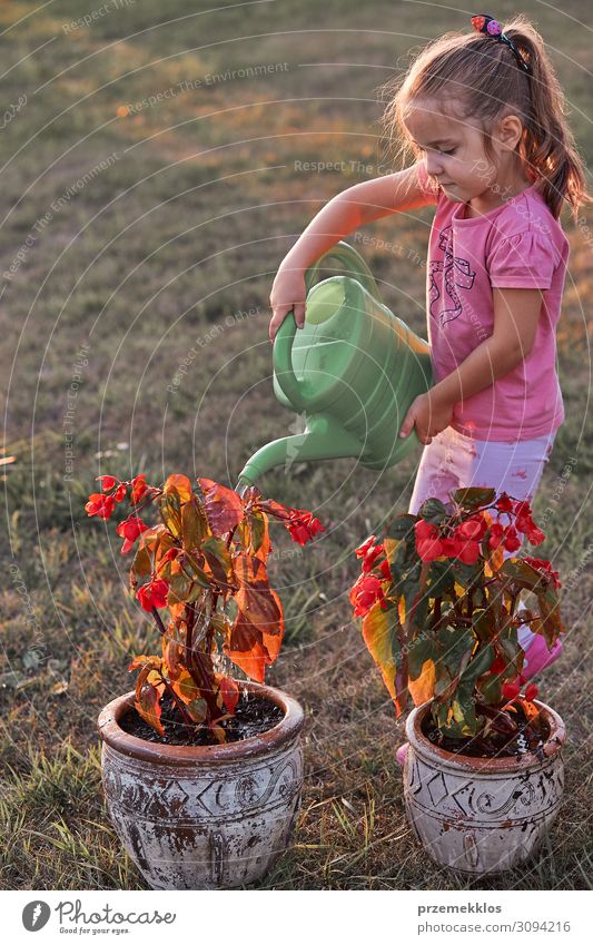 Little girl helping to water the flowers Pot Lifestyle Summer Summer vacation Garden Child Work and employment Gardening Human being Girl 1 3 - 8 years Infancy