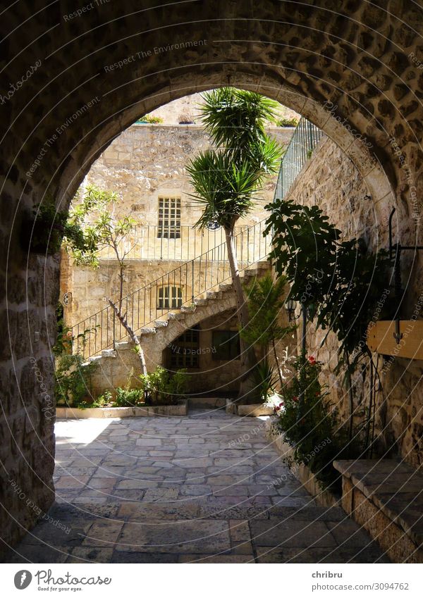 Paradise in the courtyard Deserted House (Residential Structure) Gate Wall (barrier) Wall (building) Stairs Sit Living or residing Warmth Safety Protection