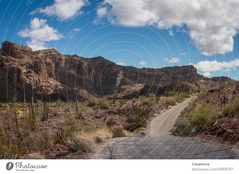 Road, rocks, thorn bushes, cacti, sky and clouds Landscape Nature Street off Rock stones Sky Clouds Plant Cactus Thorn bushes Desert Dry Thorny Day daylight