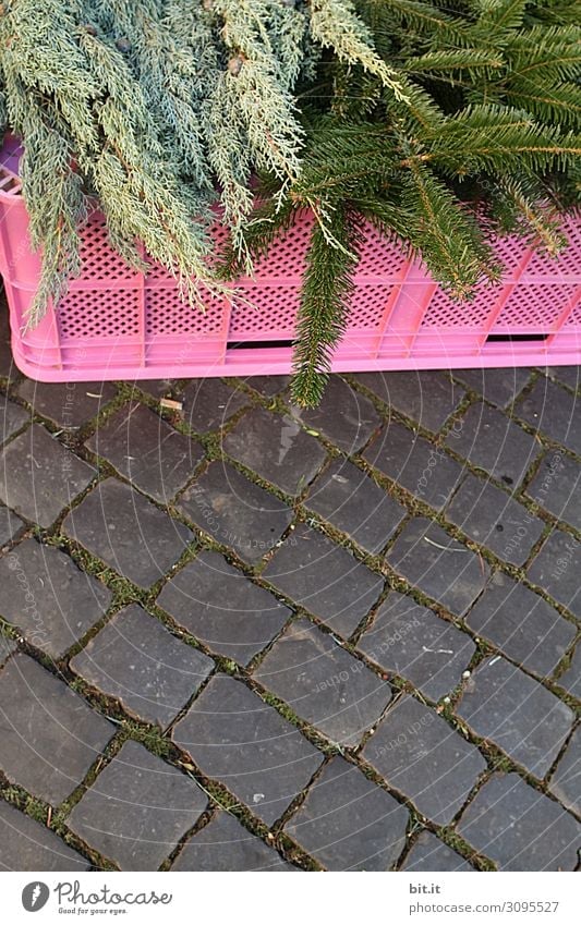 green, fresh fir branches, lying on a pink plastic box for sale, at the Christmas market. Offer of fir greenery for decoration, ornamentation and crafting of Advent wreaths during the Advent season. Fir twigs for sale at the cobblestone market.