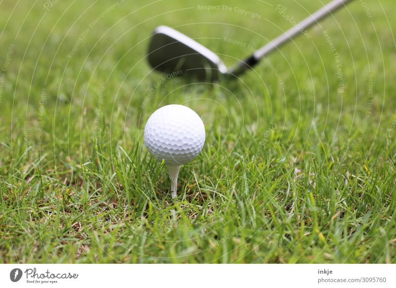 tee Sports Golf Golf ball Golf club Tee off Golf course Meadow Near Green White Colour photo Subdued colour Exterior shot Close-up Deserted Copy Space left
