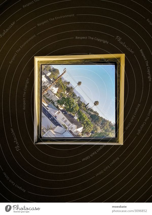 Los Angeles in crooked Town Blue California USA Window View from a window Tilt Diagonal Palm tree Colour photo Subdued colour Exterior shot Interior shot