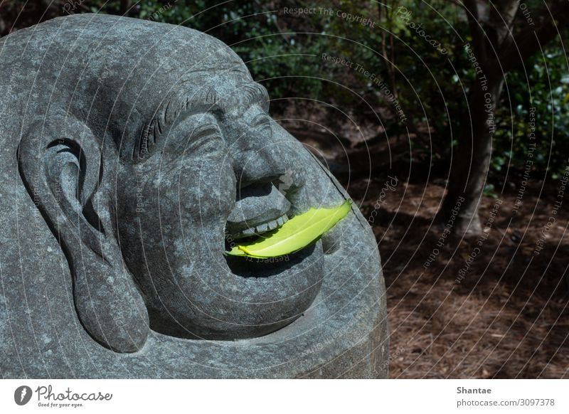 Budai Statue with Leaf Offering Harmonious Buddhism Art Sculpture Culture Nature Stone Eating Feasts & Celebrations Freeze Buddha offering Laughter Georgia