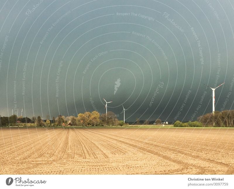 approaching thunderstorm over a grain field with wind turbines Environment Nature Landscape Sky Clouds Storm clouds Horizon Weather Tree Pinwheel Threat Dark