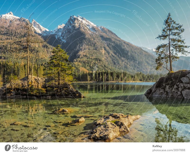 rear lake Vacation & Travel Island Mountain Nature Landscape Water Spring Tree Forest Alps Snowcapped peak Lakeside Germany Bavaria Berchtesgaden Alpes Europe