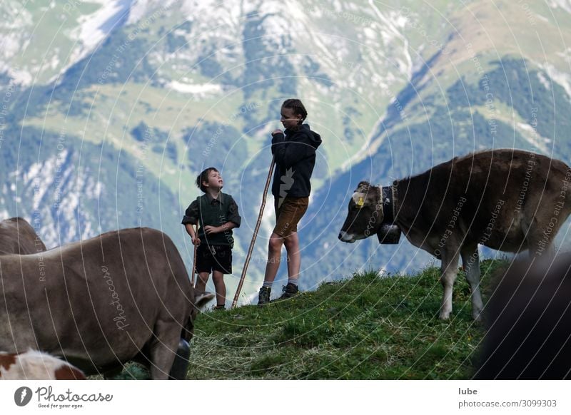 pastoral talks Agriculture Forestry Girl Boy (child) 2 Human being Environment Nature Landscape Mountain Animal Farm animal Cow Communicate Happiness