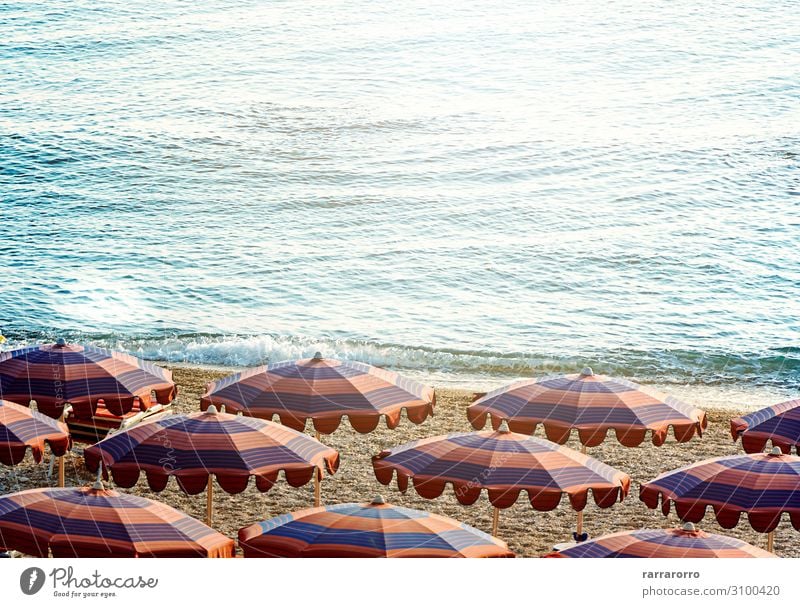 Sun umbrellas open early in the morning on a beach by the sea Luxury Beautiful Relaxation Leisure and hobbies Vacation & Travel Tourism Summer Sunbathing Beach