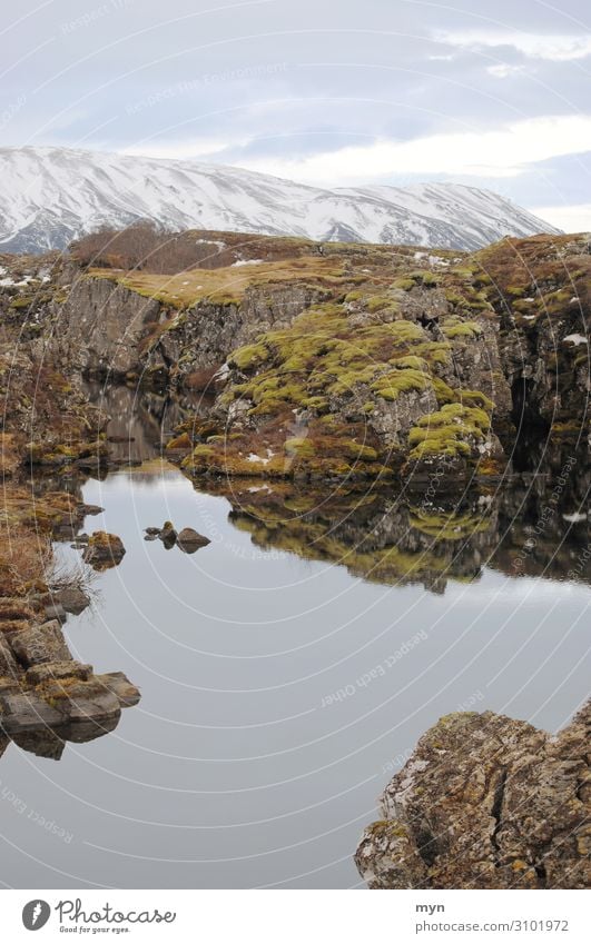 Landscape in Iceland / Thingvellir National Park Lake River Winter Glacier Water Sky Clouds Environment Dramatic Continents Brook Europe Deserted Moss Rock