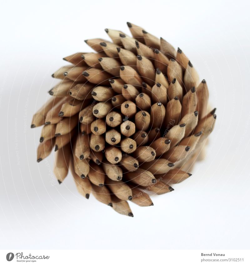 creative strudel Pen Creativity Office Drawing pencil Pencil Whirlpool Movement Spiral Graphite Wood Rotation Above Dynamics Direction Brown Gray Multiple
