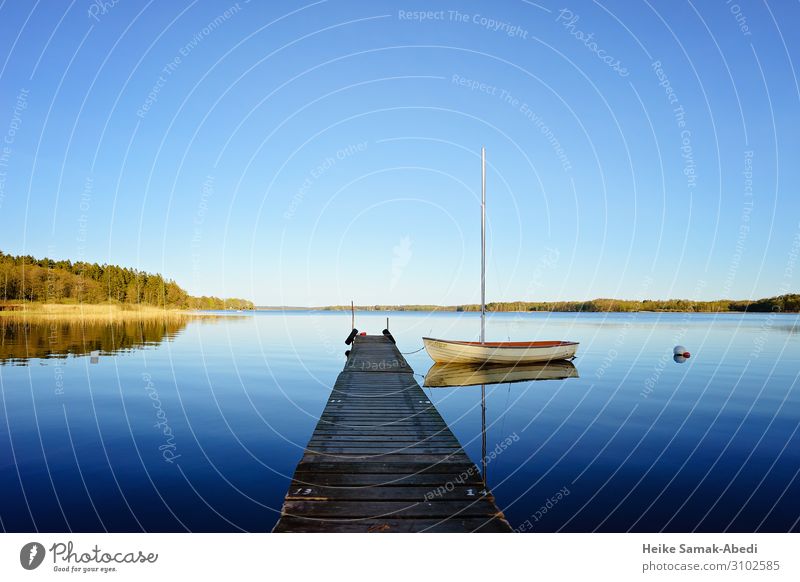 Idyll at Lake Västersjön in Sweden Sailing Nature Landscape Water Sky Coast Lakeside Schonen Skåne Boating trip Sailboat Blue Calm Loneliness Body of water