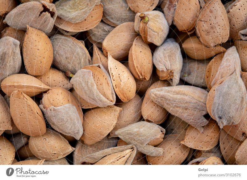 Many freshly picked almonds Fruit Nutrition Eating Vegetarian diet Diet Table Group Autumn Wood Fresh Natural Brown Almond food Shell Ingredients nut healthy