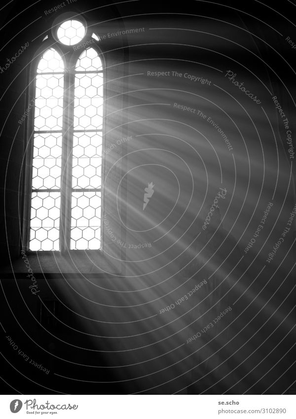 enlightenment Church Moody Loneliness Window Think Awareness Black & white photo Interior shot Deserted Copy Space right Copy Space bottom Neutral Background