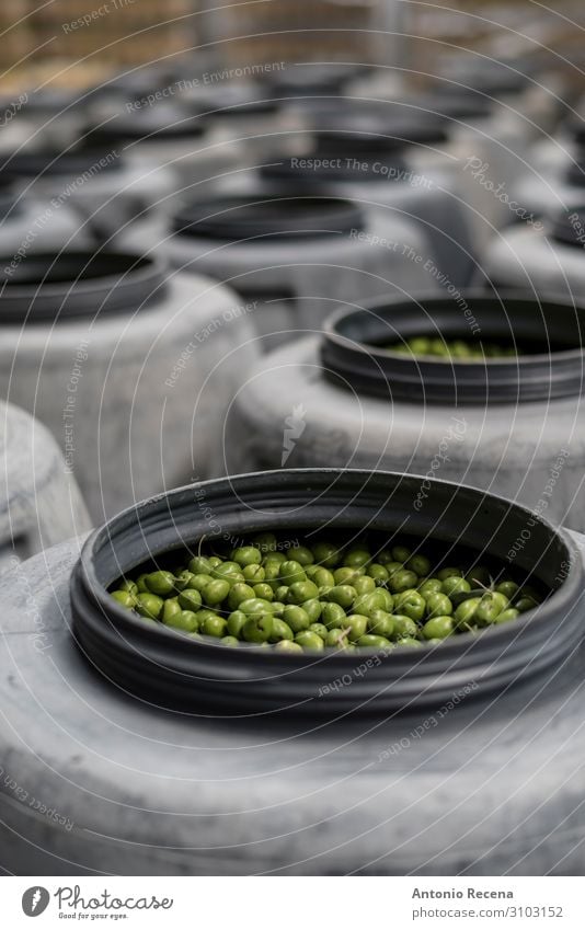 OLives on barrel Fruit Work and employment Factory Industry Package Fresh Green food deposit olive Olive oil Fermentation Beaded row focus in foreground
