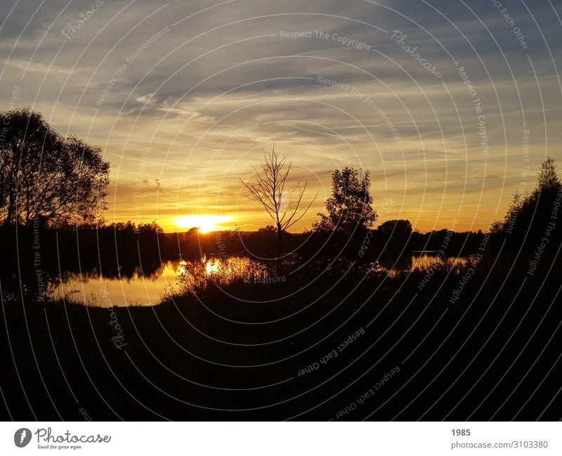 Sunset at the lake Nature Landscape Water Sunrise Sunlight Summer Beautiful weather Tree Bushes Lakeside Deserted Observe Glittering Going To enjoy Smiling