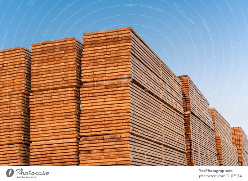 Wooden boards stacks outdoor. Lumber industry. Timber stock Factory Economy Business Saw Environment Tree Destruction Alternative Blue sky Carpenter carpentry