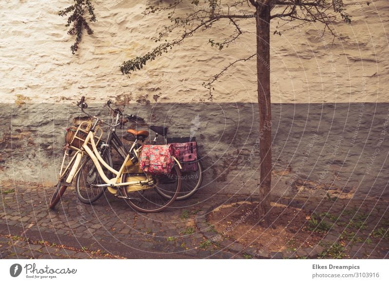Two old bicycles with colourful bags on an old wall Leisure and hobbies Trip Cycling tour Summer Summer vacation Bicycle Relaxation To enjoy Sports Cool (slang)