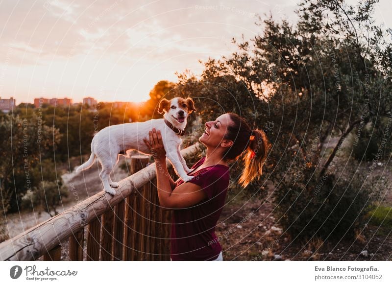 young woman and her dog watching sunset in a park Lifestyle Joy Happy Beautiful Leisure and hobbies Summer Sun Feminine Young woman Youth (Young adults) Woman