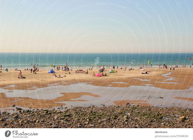 People at low tide on the beach Crowd of people Cloudless sky Sunlight Summer Beautiful weather Coast Beach North Sea Ocean Swimming & Bathing Relaxation Hot