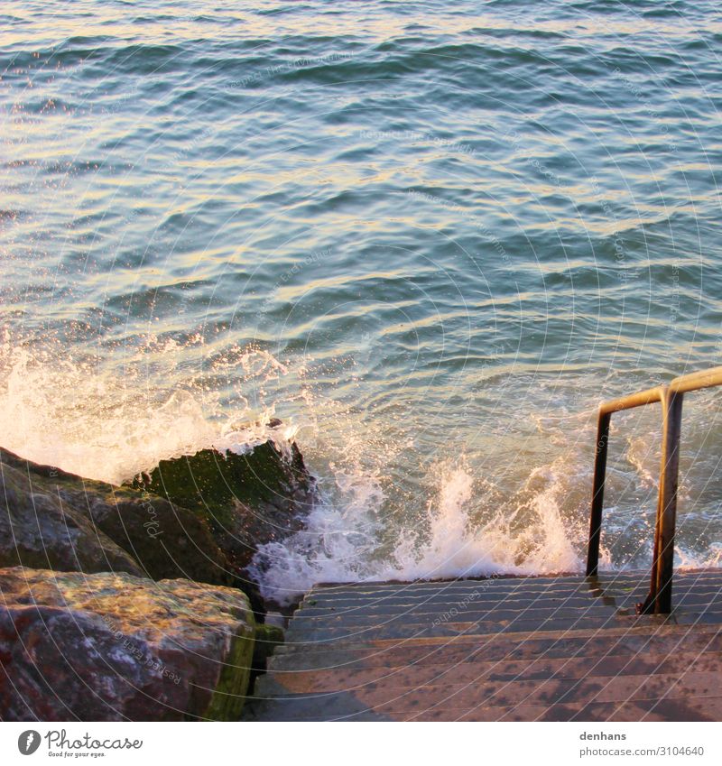 Stairs to the sea Vacation & Travel Summer Ocean Environment Nature Water Climate change Waves Coast North Sea Relaxation Threat Maritime Wet Blue Brown