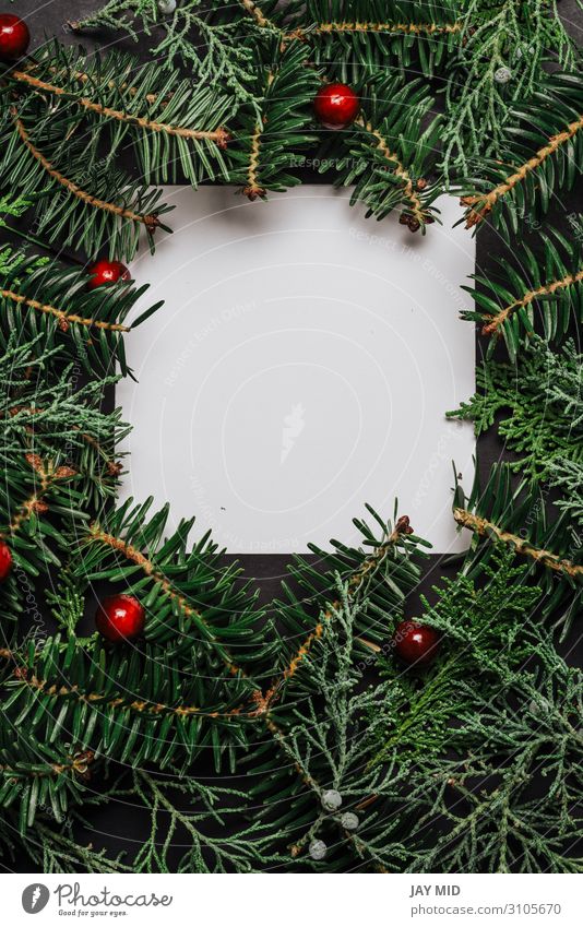 Frame of Christmas tree branches and decorations. - a Royalty Free