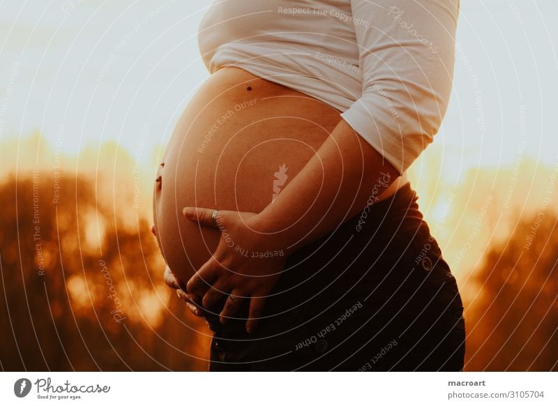 baby bump photos Pregnant Baby bump belly Sunset Hand Woman Feminine Nature Natural Stomach Childhood wish