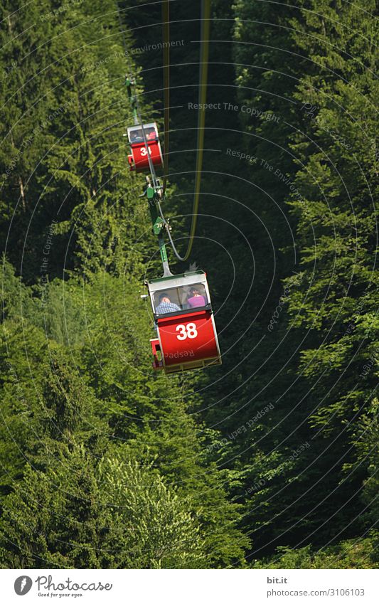 Cable car in the forest Vacation & Travel Tourism Trip Adventure Freedom Hiking Environment Nature Forest Mountain Tall Gondola Driving Colour photo
