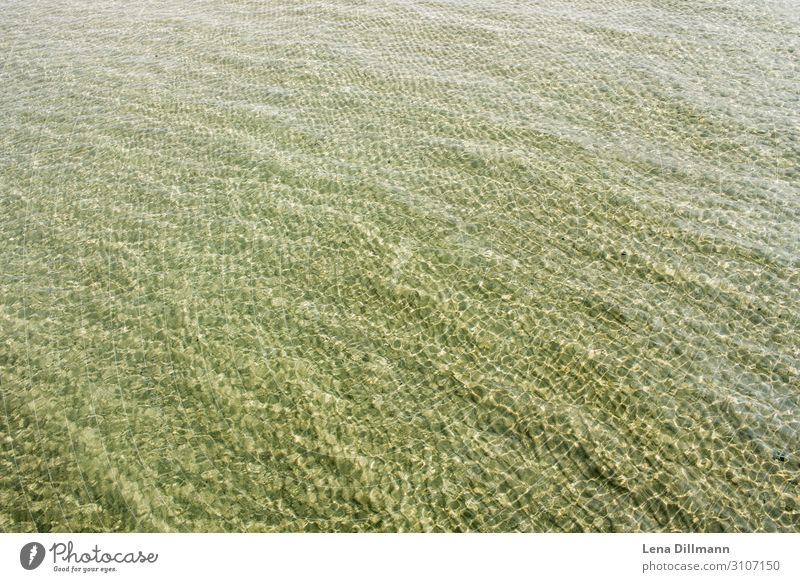 Water Timmendorf beach Beach Northern Germany clear water Swell Waves