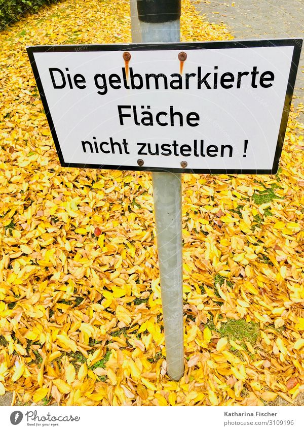 autumn foliage Nature Autumn Climate Leaf Characters Signage Warning sign Yellow Gold Green Black White Lanes & trails Barrier Signs and labeling Autumn leaves
