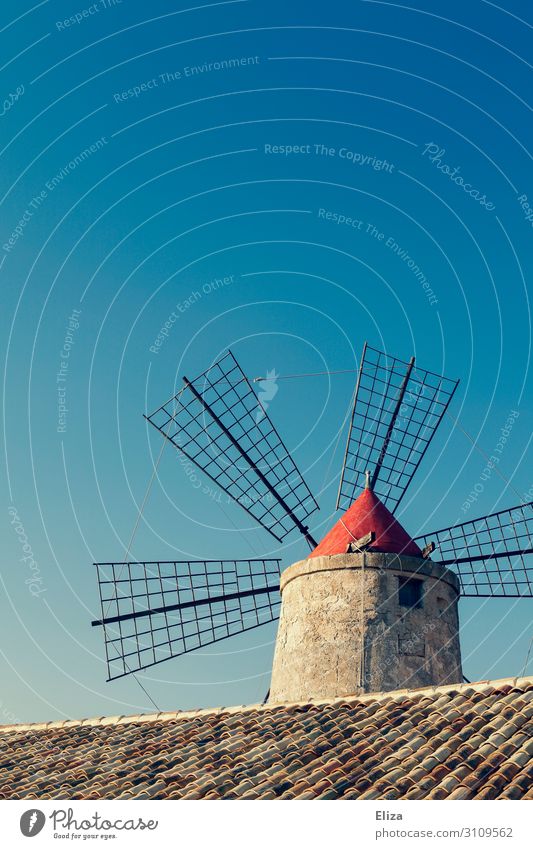 windmill Windmill Blue Blue sky Cloudless sky Roofing tile Agriculture Summer Rural Colour photo Exterior shot Deserted Copy Space top Day
