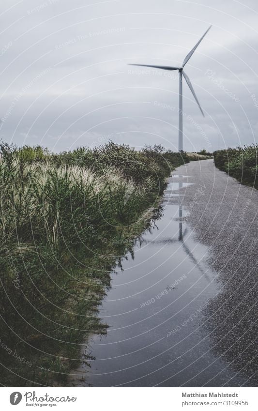 windmill Technology Energy industry Renewable energy Wind energy plant Environment Nature Landscape Summer Coast Rotate Sustainability Natural Gray Green