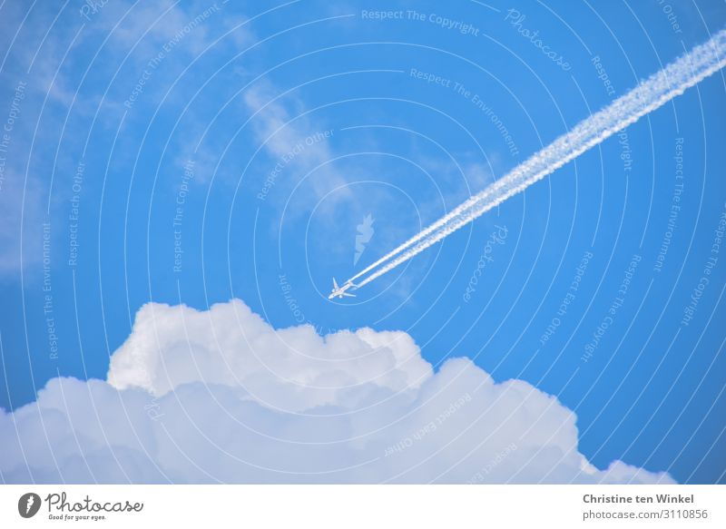 Aircraft with contrails in the blue sky flying towards white clouds Vacation & Travel Tourism Far-off places Environment Sky Clouds Sunlight Beautiful weather