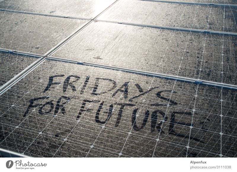 fridays for future Advancement Future Energy industry Renewable energy Solar Power Energy crisis Fear Apocalyptic sentiment Resolve Success Fairness Hope