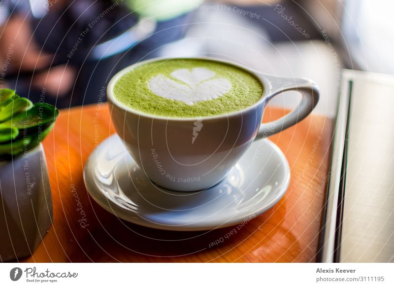 Matcha latte art with succulent at a coffee shop on a table Food To have a coffee Beverage Coffee Latte macchiato Espresso Cup Lifestyle Plant Cactus Pot plant