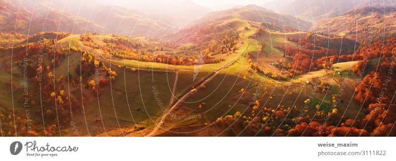 Autumn mountain panorama. Sunny meadow and colorful forest Vacation & Travel Trip Adventure Mountain Environment Nature Landscape Earth Sunrise Sunset Sunlight