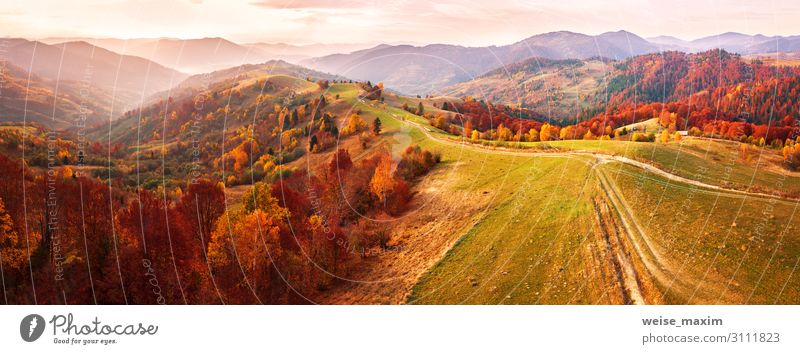 Autumn mountain panorama. Dirt road on top of hills. Beautiful Vacation & Travel Tourism Trip Far-off places Freedom Mountain Wallpaper Environment Nature