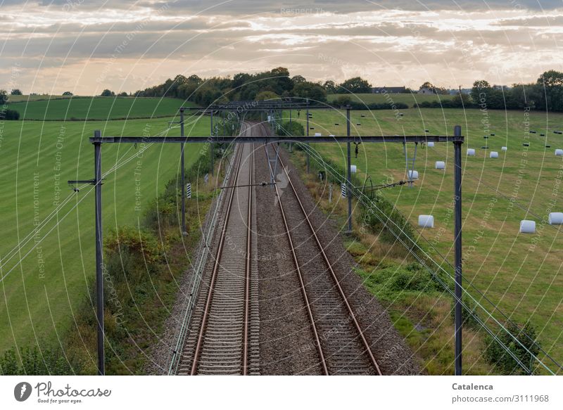 Railroad free; view from above on a railroad track leading through meadows Agriculture Forestry Landscape Sky Clouds Horizon Autumn Plant Tree Grass Bushes