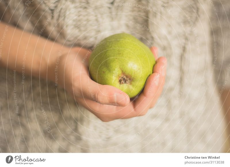 young woman in a braided sweater holding a pear in her hand Food Fruit Pear Nutrition Organic produce Vegetarian diet Slow food Feminine Young woman