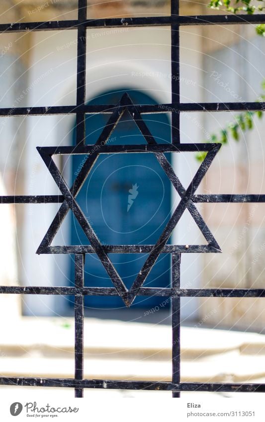 Star of David Synagogue Belief Religion and faith Judaism Jewish Quarter Symbols and metaphors Gate Garden Fence Iron Metal Peaceful Israel Mass murder